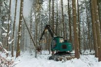 Holzernte im Winter