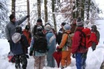 Mit einer Schulklasse im Winterwald