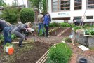 mehrere Frauen arbeiten auf Beeten im Garten