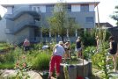 Sechs Frauen arbeiten zwischen Blumen im Garten