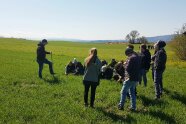 Eine Personengruppe steht auf einer grünen Wiese