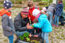 Vier Kinder und ein Erwachsener stehen um Pflanzkiste.