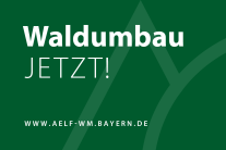 Logo auf dem steht 'Waldumbau JETZT'