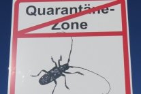 Schild zur Aufhebung der Quarantänezone