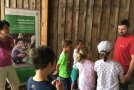 mehrere Kinder mit Landwirt 