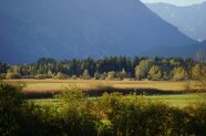 Schilfwiesen- und Waldlandschaft vor steil aufragenden Bergen