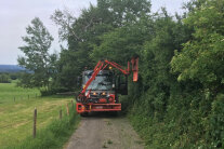 Fahrzeug mit Aufsatz beim Heckenschneiden auf Weg; daneben mit Zaun abgesteckte Weide © Linder