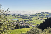 Blühende Landschaft.
